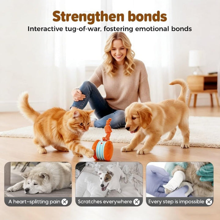 Interactive Electric Rolling Toy – IPawsPlus