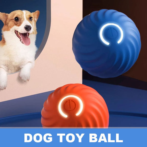 ✨Last Day Promotio🎁Dog Toy Ball 💥BUY 2 FREE SHIPPING