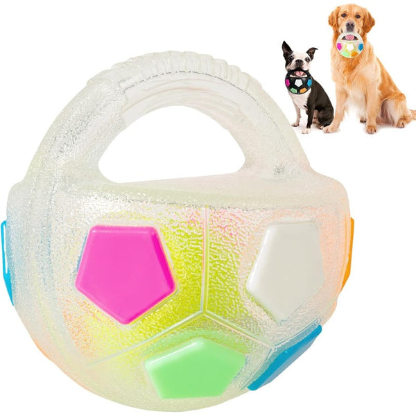 Squeaky Dog Fetch Ball