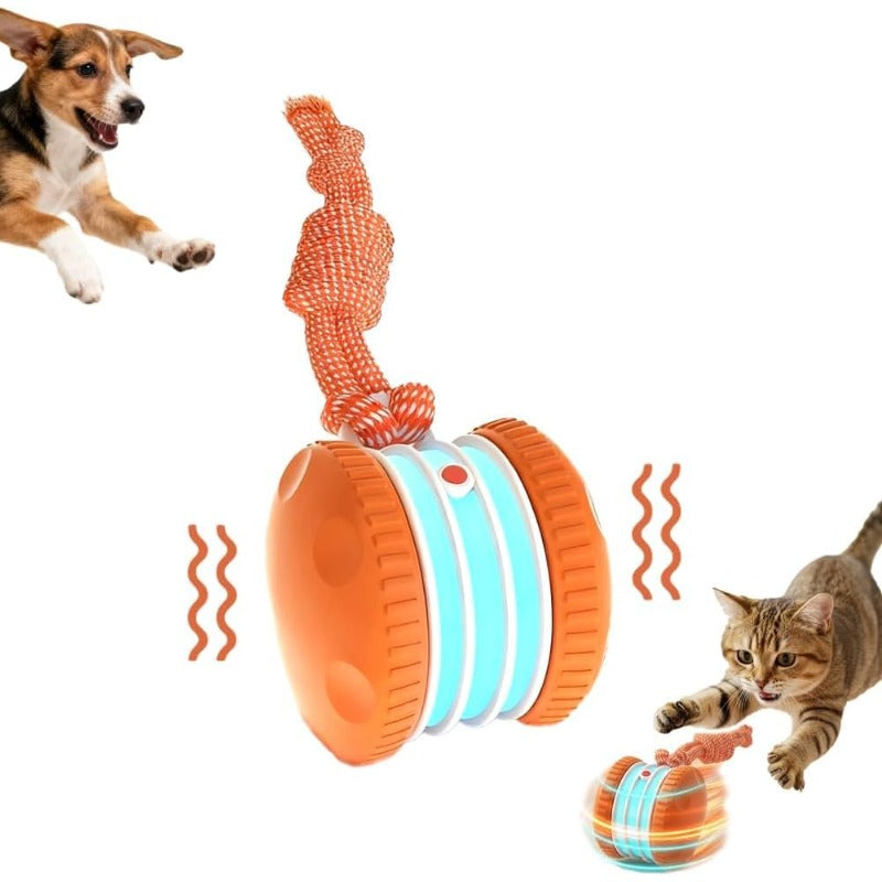 Interactive Electric Rolling Toy – IPawsPlus