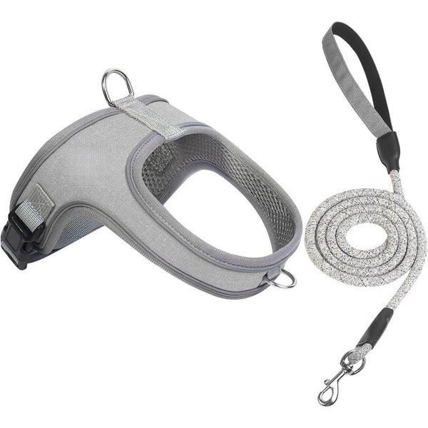 Reflective Dog Harness Set